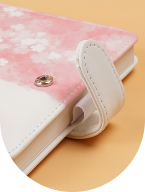 Papelería Wenzhou Bode Co., Ltd.